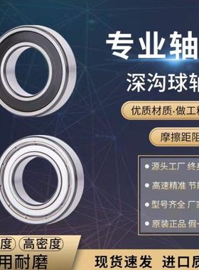 高速进口轴承6016 6017 6018 6019 6020 6022Z 2RS ZZ DDU/C3
