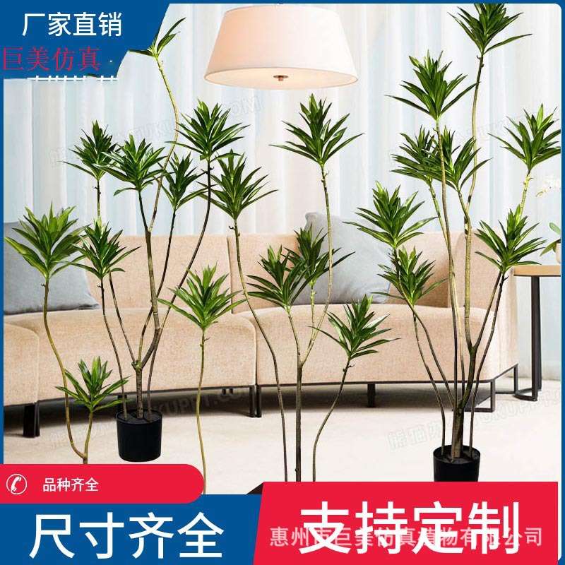 仿真绿植百合竹 室内装饰造景百合竹龙血树  仿真龙舌兰植物盆栽