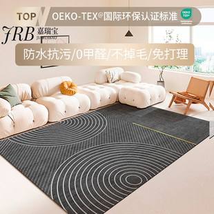 轻奢高级感卧室床边毯子家用沙发地垫大面积整 地毯客厅202g4新款