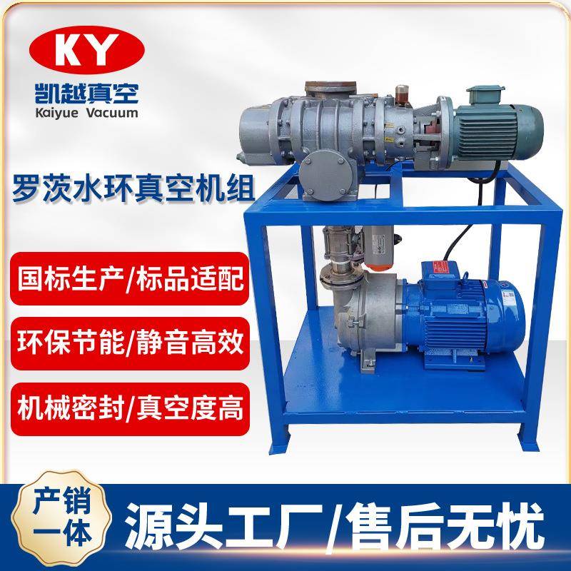 工厂定制JZJ2B型罗茨泵水环真空机组各种规格无油液环泵真空机组
