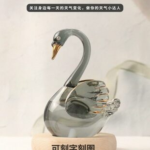 天瓶气预报圣诞节生日礼物女生少女心风刻字闺蜜粉色女友暴男朋友