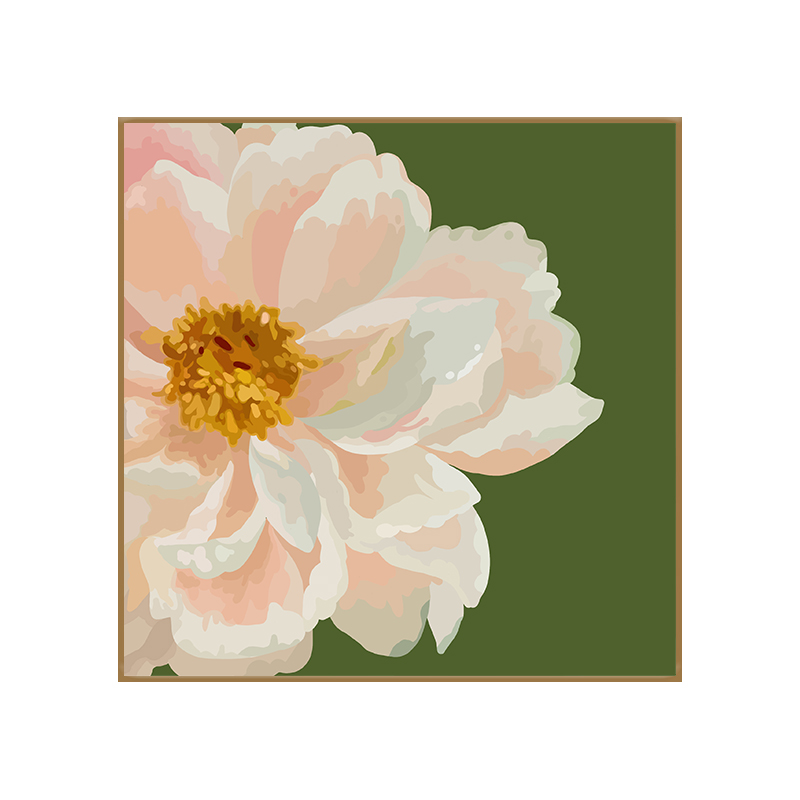 芍药牡丹花卉填充涂鸦数字油画diy手绘丙烯油彩画手Y工装饰画挂画图片