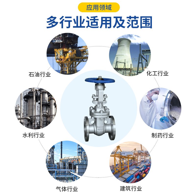 Z41W-10K 不锈钢304日标法兰楔式闸阀 弹性闸板手动闸阀 日标闸阀