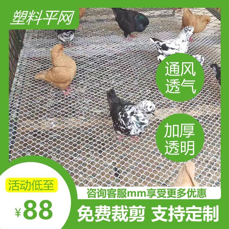 育雏养鸡鸭加厚塑料平网过滤阳台防护防坠围栏床垫用养殖漏粪网床