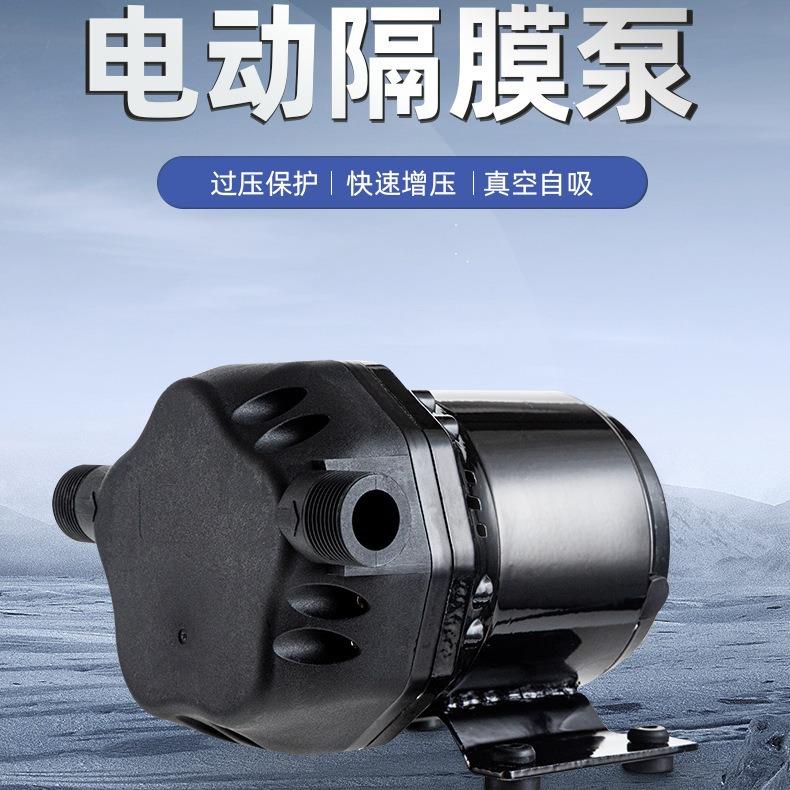 大流量300w12V24VDC自吸水泵增压泵洗车泵浇菜园环卫车房