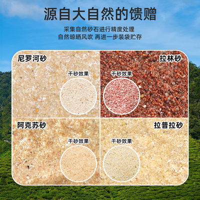 沃韦朗三湖慈鲷沙卷贝马鲷萨依蓝六间专用鱼缸造景底砂黑白黄沙