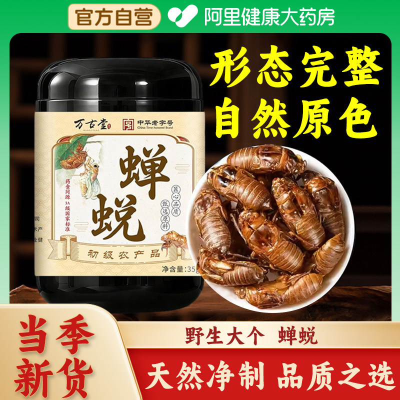 蝉蜕中草药材野生蝉脱金蝉衣金蝉壳蝉皮蝉衣知了皮知了壳粉正品