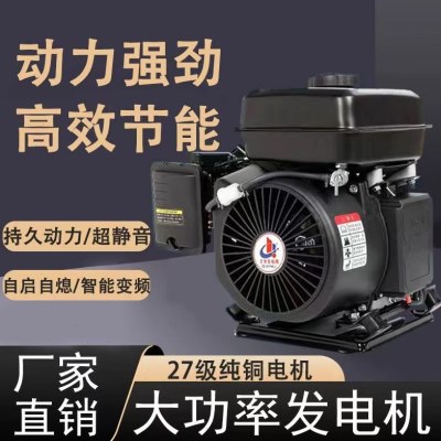 48v60v72伏电动两轮二三轮车四轮车新能源轿车变频增程器发电机