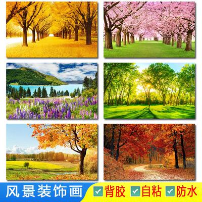 自然风景画红叶森林树木图片秋天风水乡村风光壁纸装饰海报贴画纸