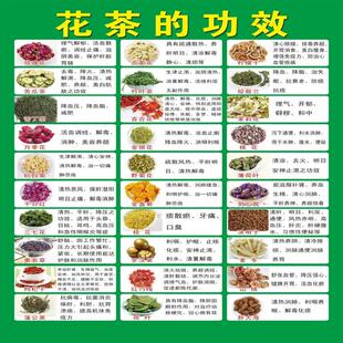 各类花茶的功效简介作用花茶搭配贴纸海报自粘图片宣传画茶叶装饰