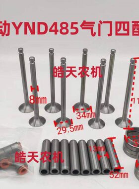 东方红扬动YND485T柴油机气门配套杨动485气门四配套配件气门油封