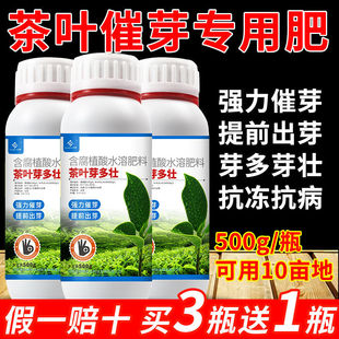 茶叶叶面肥茶叶催芽催芽素x催芽剂爆牙素有机水溶肥壮芽嫩芽素