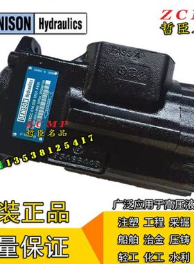 DENISON油泵T6DC-020/024/028/031-017/022/028-1R00-A1/B1/C1/D5