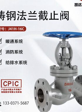 W蒸汽法兰20B065  截止阀8JCC高温D 41铸0N300-H钢16