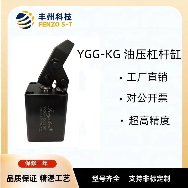 丰州块状管路式杠杆油缸YGG-KG液压方型外接管连杆夹紧器型号齐全