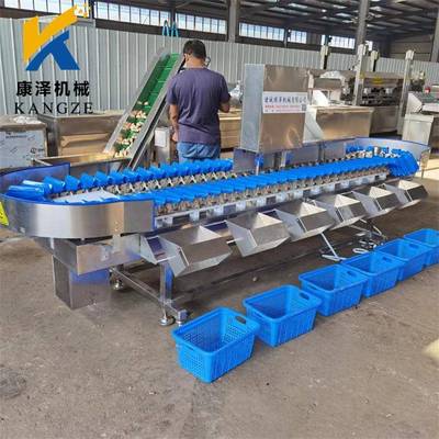 全自动小龙虾重量分选机海蛎子扇贝分级机多级别海鲜分选设备