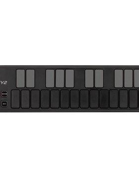 科音KORG Nano Kontrol2/Key2/Pad2 便携MIDI控制器电音打击垫