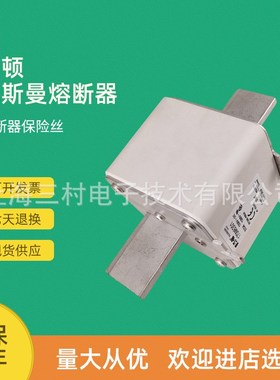 全新原装快速熔断器保险丝170M6308 170M6309 170M6310 170M6311