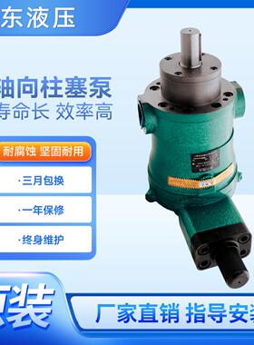 启东高压油泵10 25 40 63 80 160YCY 250YCY14-1B轴向柱塞泵液压