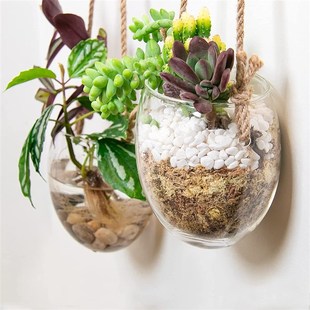 悬挂水培蛋形玻璃花瓶壁挂挂墙水养植物容器家居园艺墙面装 饰挂件