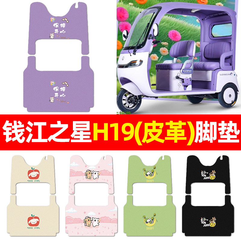 适用【钱江之星H19】三轮车脚垫