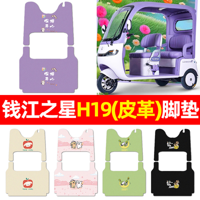 适用【钱江之星H19】三轮车脚垫