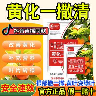 黄化一撒清果树龙病专用药撤清柑橘黄化修覆剂撒施颗粒肥料