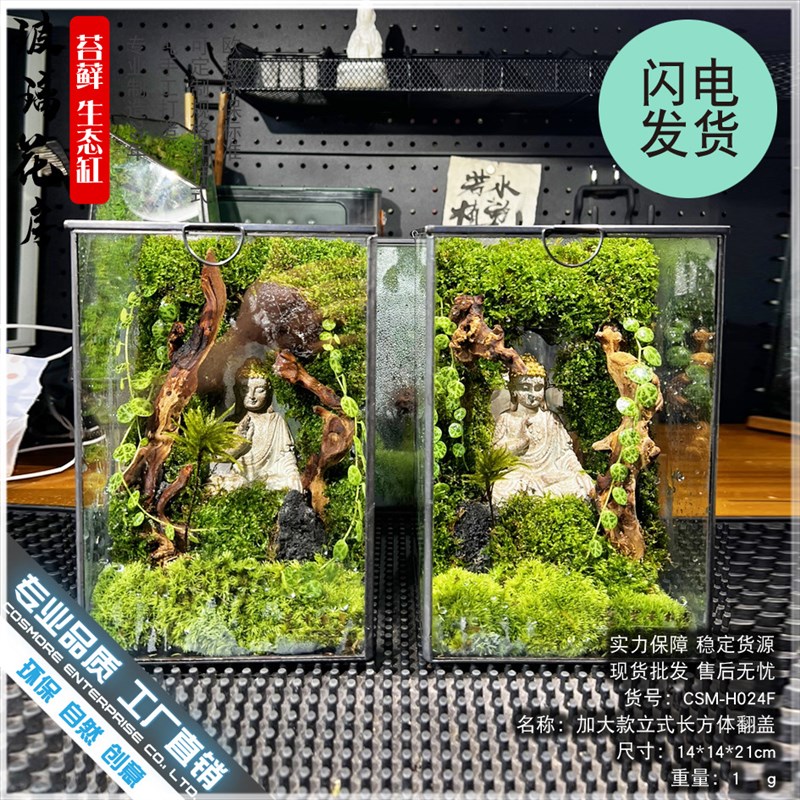 苔藓沉木微景观雨林缸生态瓶造景几何玻璃花房创意植物盆景长方形