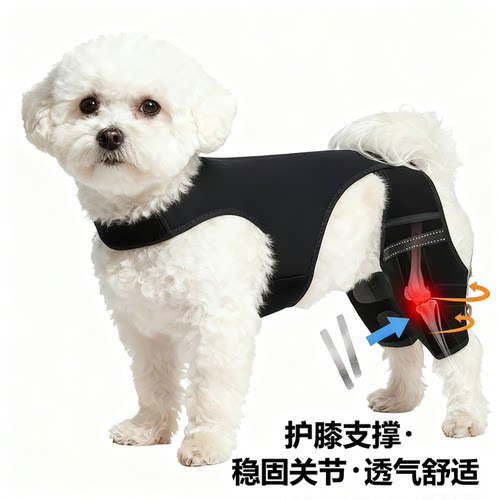 几宠狗狗护膝后腿稳定器缓解绞痛