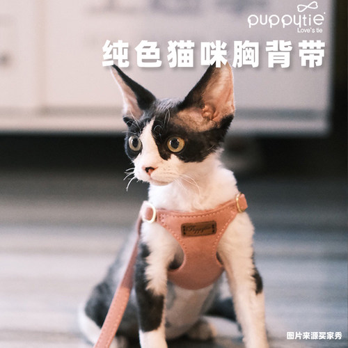 Puppytie猫咪牵引绳遛猫背心式
