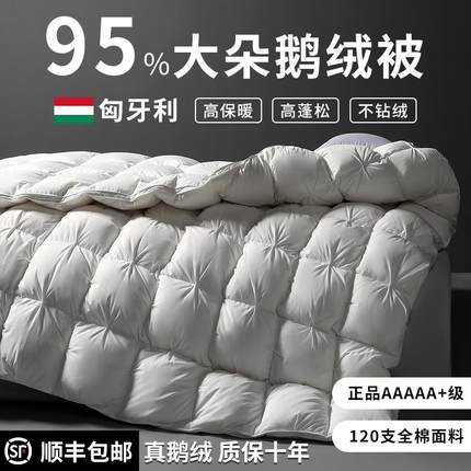匈牙利正品羽绒被95白鹅绒五星级酒店春秋被加厚保暖被芯被子冬被