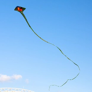 风筝大人专用巨型特大号新款高档蛇风筝三角风筝微风易飞超长蛇尾