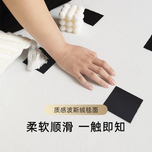奶油地毯客厅2024新款 法式 轻奢高级卧室床边毯家用地垫沙发茶几毯
