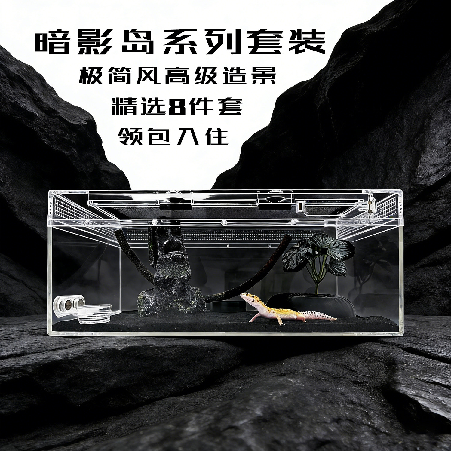 爬宠豹纹守宫饲养箱生态造景亚克力蛇鬃狮蜥蜴肥尾蜘蛛昆虫养殖盒