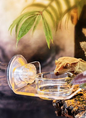 爬宠悬挂食盆水碗悬挂式饲养树栖R属睫角守宫磁吸挂食亚克力喂食