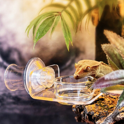 爬宠悬挂式水碗悬挂式磁吸亚克力