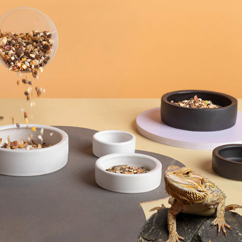 陶瓷碗防逃逸圆形白色守宫爬食盆