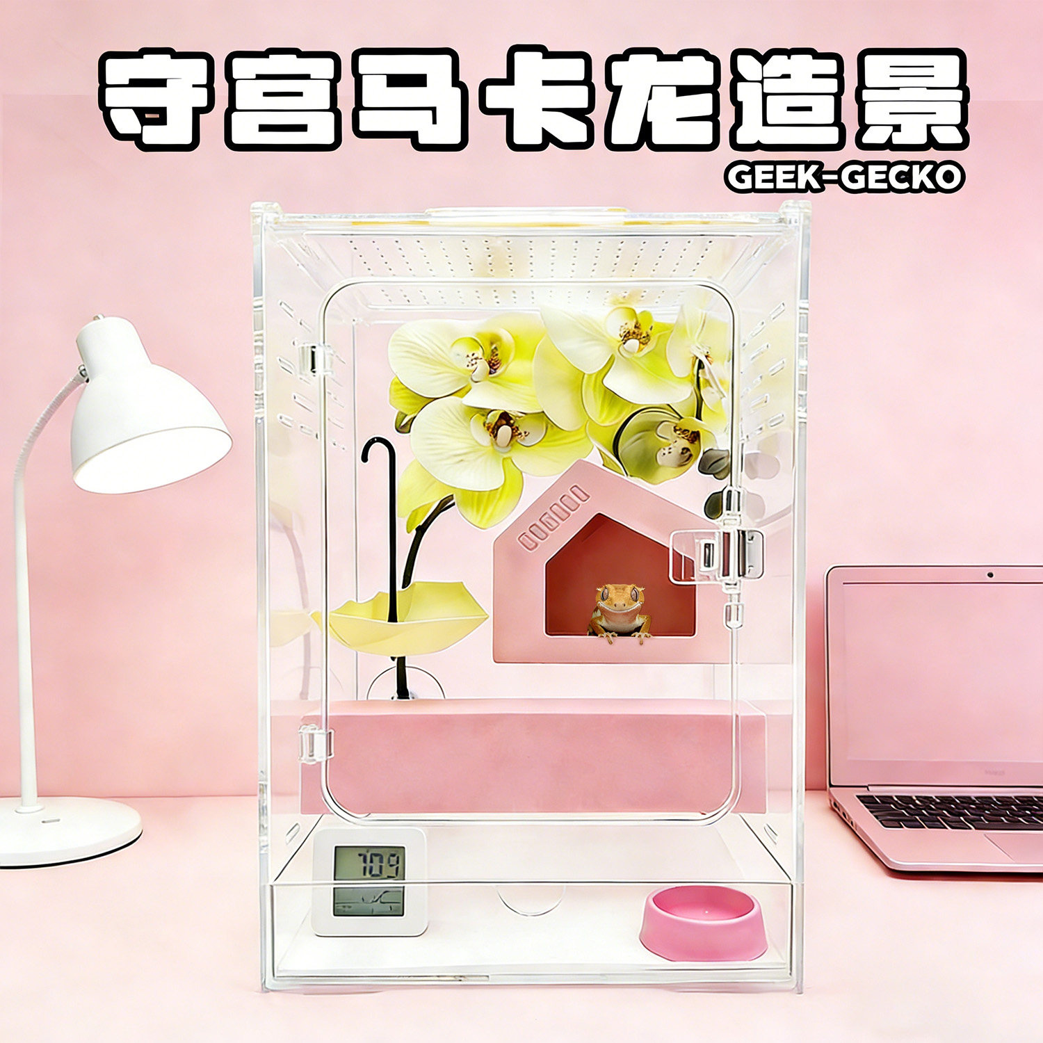 睫角守宫亚克力饲养箱爬宠缸透明生态造景套装蜥蜴昆虫蜗牛养殖盒