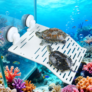 爬宠乌龟吸盘晒背台爬台晒背台大号浮岛爬坡造景水陆缸深水躲避屋