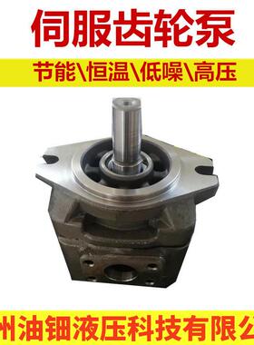 齿轮泵HG1-25-01R-VPC系列伺服节能齿轮泵节能改造液压机