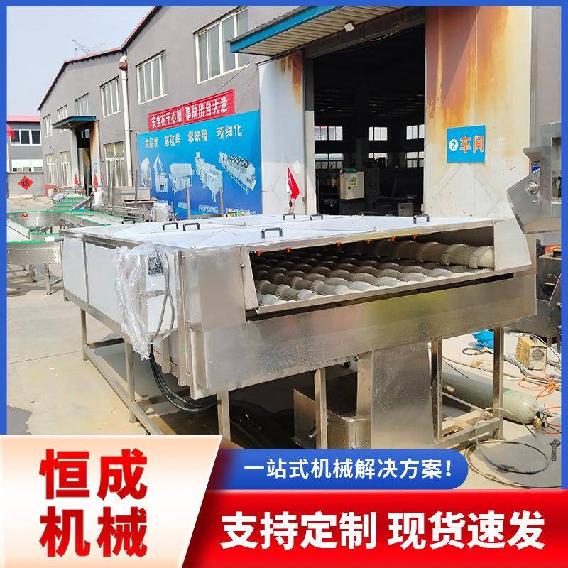 白萝卜毛辊清洗机根茎类山药土豆加工清洗线4通道细毛刷清洗机器