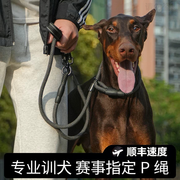专业训犬P绳中大型犬狗牵引绳防爆冲打结狗绳比赛外出训练反光