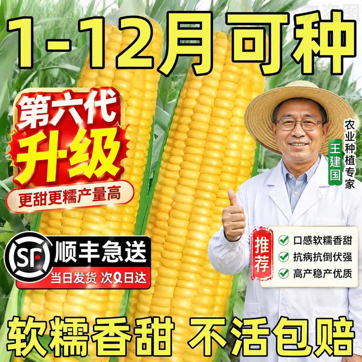 可生吃水果玉米种子老品种四季播种特高产大甜糯官方旗舰店蔬菜籽图片