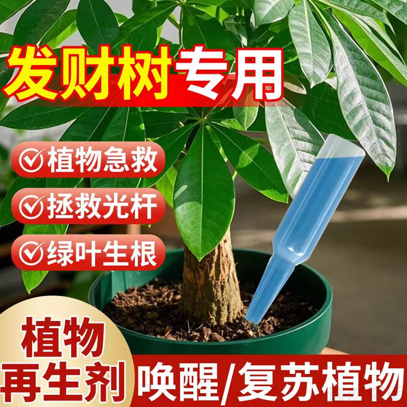 发财树植物再生剂浓缩肥料专用肥盆栽复活液防黄叶枯叶烂根营养液