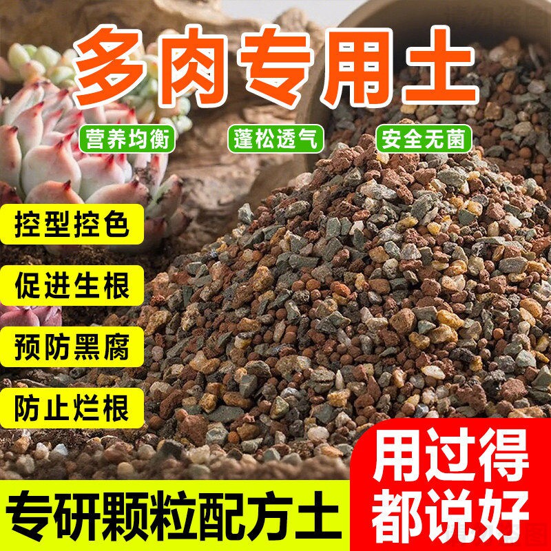 多肉专用颗粒土营养土泥炭土纯颗粒多肉肉透气疏松土壤种植土花土