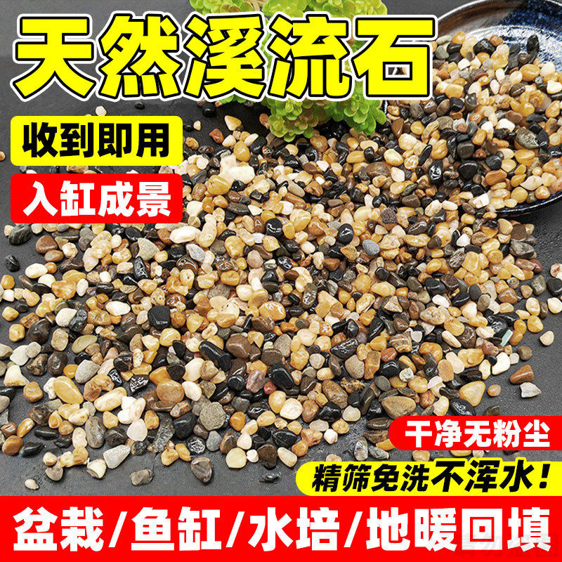 原生溪流石纯天然鱼缸造景底沙子溪流砂河沙乌龟缸原生水族箱造景