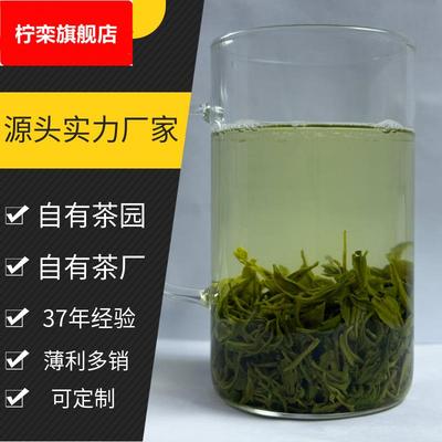 绿月安徽绿茶2025新茶岳西茶叶源头厂家高山绿茶散装