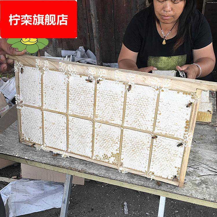 蜂巢蜜300克包装 荆条巢蜜散装土蜂蜜厂家