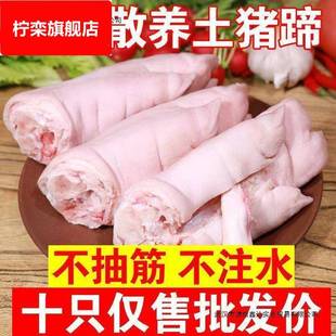 新鲜猪蹄子现杀猪蹄生猪手猪脚圈前蹄后蹄猪爪子卤猪蹄生猪肉
