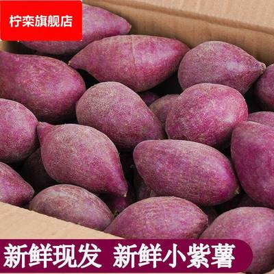 小紫薯新鲜板栗小红薯地瓜沙地香薯粉糯香甜番薯小个一件代